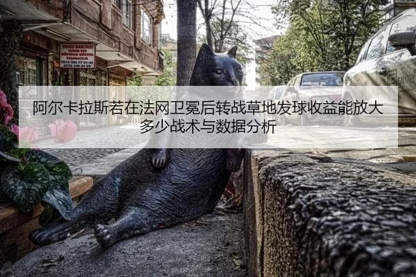 a-er-ka-la-si-ruo-zai-fa-wang-wei-mian-hou-zhuan-zhan-cao-di-fa-qiu-shou-yi-neng-fang-da-duo-shao-zhan-shu-yu-shu-ju-2-841.jpg