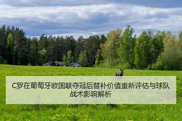 luo-zai-pu-tao-ya-ou-guo-lian-duo-guan-hou-ti-bu-jia-zhi-chong-xin-ping-gu-yu-qiu-dui-zhan-shu-ying-xiang-jie-xi-2-874.jpg