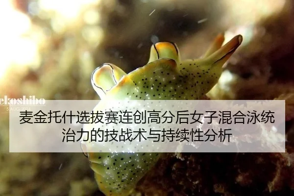 麦金托什选拔赛连创高分后女子混合泳统治力的技战术与持续性分析